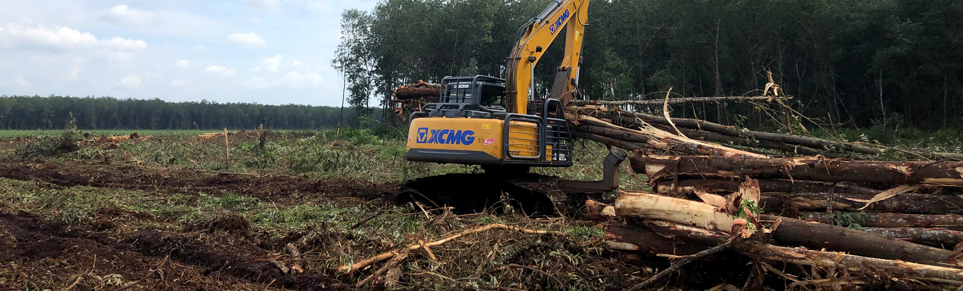 Forestry and Agro Plantation