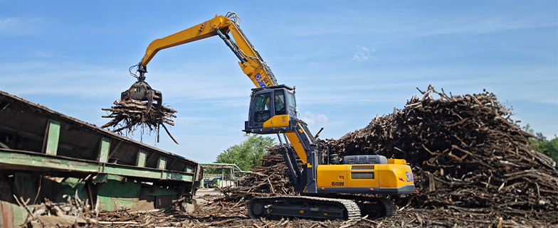 Forestry and Agro Plantation